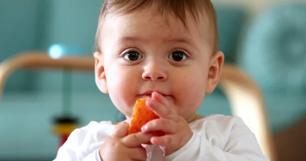 Cara Bebé Comiendo Fruta Bocadillo Saludable Bebé Come Pedazo Fruta —  Fotos de Stock