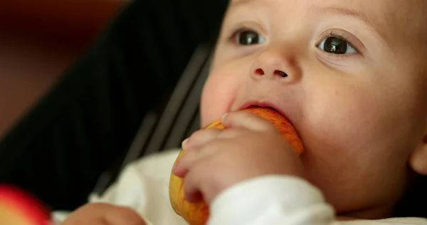 Bebé Comiendo Fruta Manzana Snack —  Fotos de Stock