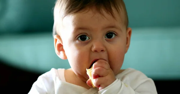 Adorable Bebé Comiendo Fruta Manzana Lindo Bebé Alimentando Nutritiva Manzana —  Fotos de Stock