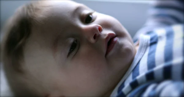 Adorable Cara Bebé Infantil Sonriendo Feliz Niño Pequeño Primer Plano — Foto de Stock