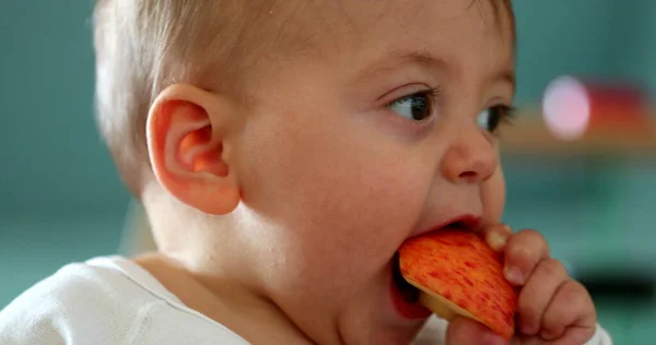 Lindo Bebé Sosteniendo Pieza Fruta Manzana Retrato Casual Infantil Comiendo —  Fotos de Stock