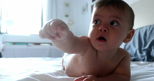 Linda Cara Bebé Mirando Cámara Retrato Infantil Niño Pequeño —  Fotos de Stock