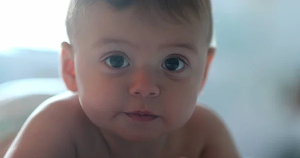 Niedliches Babygesicht Das Die Kamera Schaut Kleinkind Porträt — Stockfoto