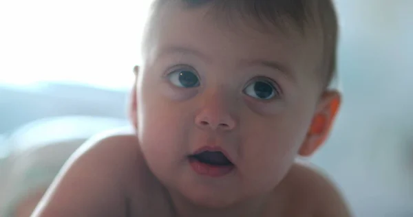 Söt Baby Ansikte Tittar Kameran Småbarnsporträtt Spädbarn — Stockfoto