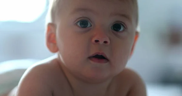 Schattig Babygezichtje Kijkend Naar Camera Peuter Kinderportret — Stockfoto