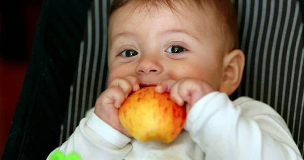 Güzel Bebek Sağlıklı Besleniyor Bebek Elma Yiyor — Stok fotoğraf