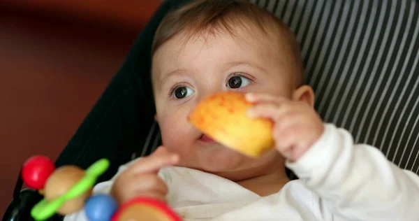 Lindo Bebé Comiendo Fruta Manzana Niño Come Bocadillos Saludables —  Fotos de Stock