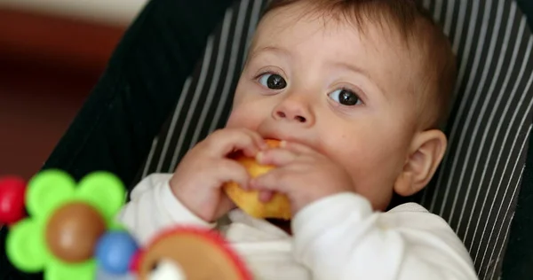 Niño Comiendo Fruta Saludable Manzana Bebé Come Manzana Cara Retrato —  Fotos de Stock
