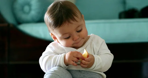 Joyful Baby Toddler Infant Holding Piece Fruit Observing — Stock Photo, Image