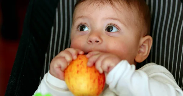 Happy Baby Eating Apple Fruit — Stok Foto