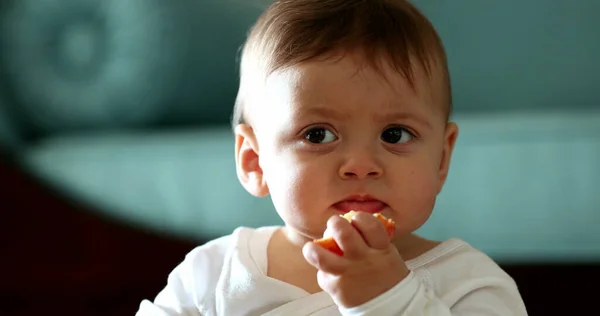 Aranyos Boldog Baba Eszik Alma Gyümölcs Snack Csecsemő Mosolyog Nevet — Stock Fotó