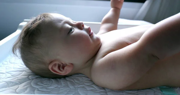 Lindo Bebé Tocando Lente Cámara —  Fotos de Stock