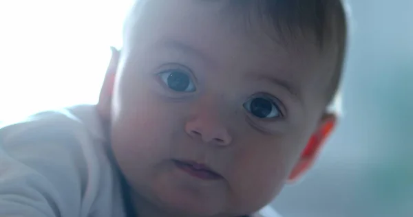 Porträtt Baby Ddler Tittar Kameran Bedårande Söt Spädbarn Ansikte — Stockfoto
