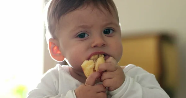 Bebé Desordenado Bebé Comer Fruta Apliques —  Fotos de Stock