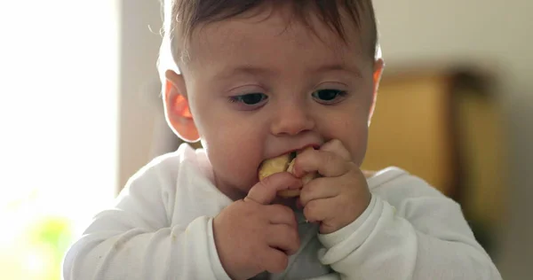 Bebé Desordenado Bebé Comer Fruta Apliques —  Fotos de Stock