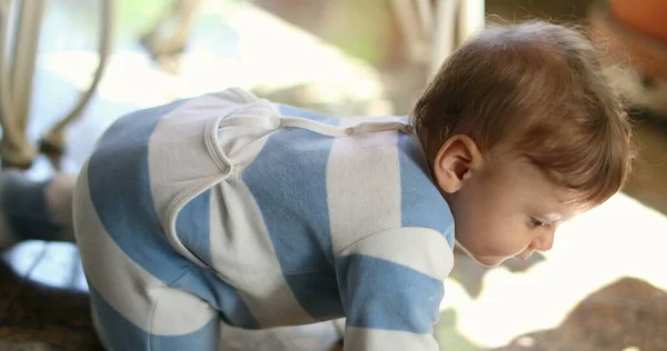 Sevimli Bebek Evde Emekliyor Sandalyeye Yaslanıyor — Stok fotoğraf