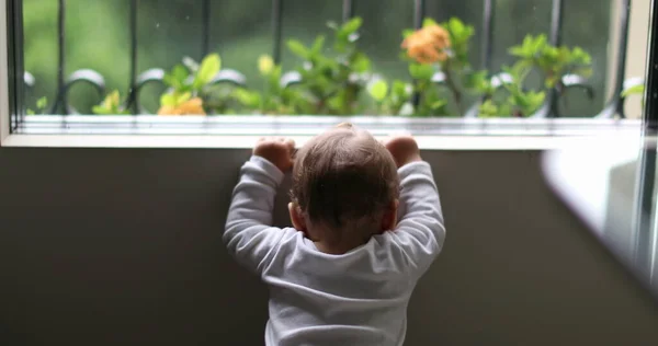 비오는 날에는 밖에서 감시를 귀엽게 바라보고 갓난아기 — 스톡 사진