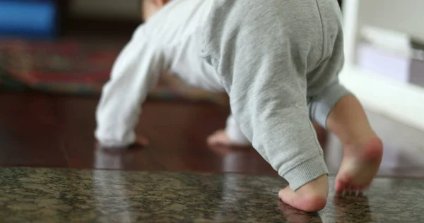 Cute Baby Crawling Home Indoors Hardwood Floor Child Infant Development — 스톡 사진