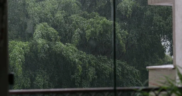 Chuva Caindo Livre Visto Através Janela Dia Tempestuoso Tarde — Fotografia de Stock