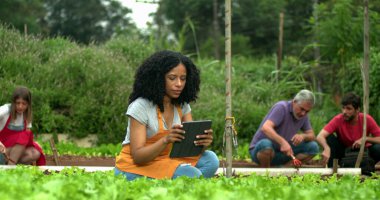Group of people at urban community farm working at small organic business. One black woman holding tablet
