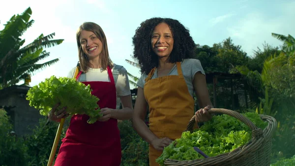 Two Young Women Agriculture Community Garden Holding Basket Organic Lettuces — ストック写真