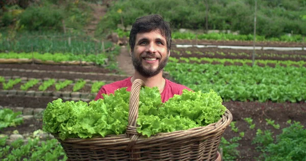Urban Farmer Standing Community Garden Showing Basket Organic Lettuces — Fotografia de Stock