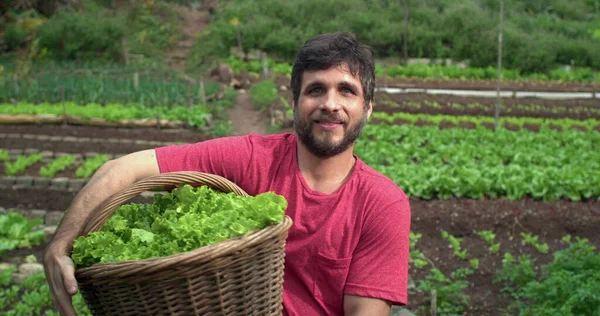 Young Man Holding Basket Organic Lettuces Standing Urban Farm — Stockfoto
