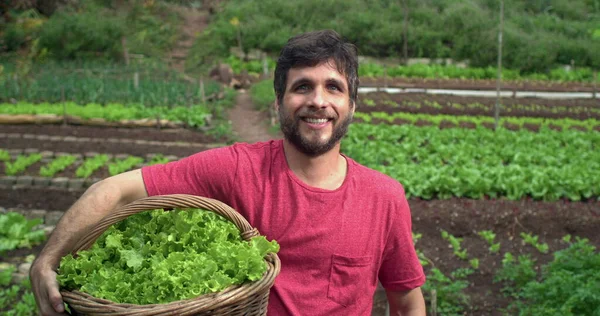 Young Man Holding Basket Organic Lettuces Standing Urban Farm — Fotografia de Stock