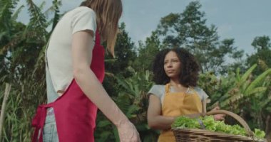 Two young diverse women at organic farm holding basket and wearing aprons. Candid female farming colleagues