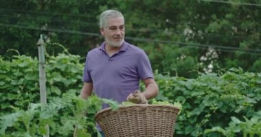 Son sınıf öğrencilerinden biri elinde organik yiyeceklerle yerel bir bahçede yürüyor. Mutlu yaşlı adam dışarıda marul taşıyor.