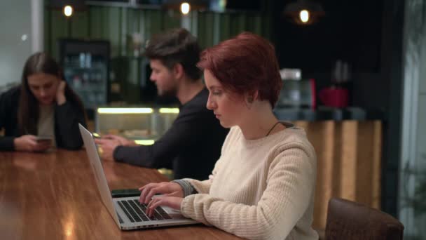 Eine Frau Vor Dem Laptop Café Inneneinrichtung Des Coffeeshops Mit — Stockvideo