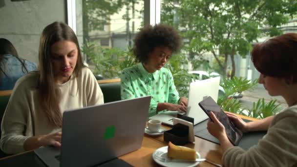 Разнообразная Группа Женщин Работающих Кафе Перед Ноутбуками Тысячелетние Работники Использующие — стоковое видео