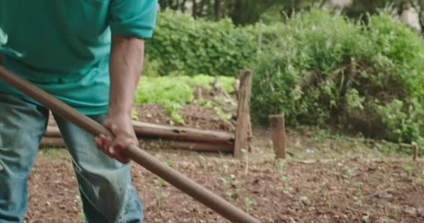 Человек Копающий Яму Сельскохозяйственным Оборудованием Старший Латиноамериканец Копает Землю Обрабатывая — стоковое видео