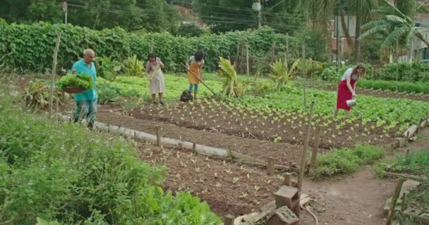 People Growing Food Local City Urban Farm Group Community Farmers — Stock video