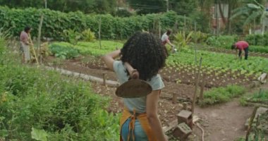 Group of community farmers cultivating food at urban small agriculture plantation. People treating the soil and walking inside farm. Diverse farmers planting vegetables and growing plants