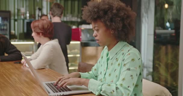 Одна Серьезная Афроамериканка Использует Ноутбук Кофейне Целенаправленная Работница Просматривающая Интернет — стоковое видео