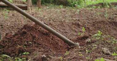 Çiftçilik ekipmanlarıyla çukur kazan biri. Yaşlı bir İspanyol toprak kazıyor. Toprak tarlasını işliyor.
