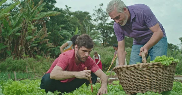 Father Adult Son Growing Food Local Organic Farm Young Man — Fotografia de Stock