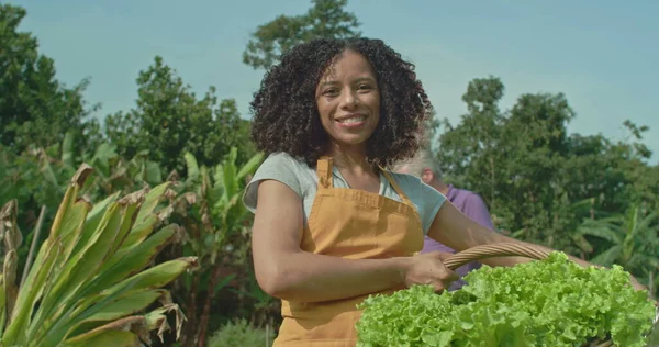 Portrait of a black woman holding basket standing at organic community farm. A hispanic black person cultivating lettuces smiling at camera