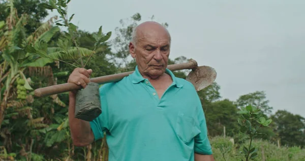 A mature hispanic man carrying farming equipment and two potting seedlings in hands heading to plant trees into the ground