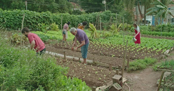 Group Community Farmers Cultivating Food Urban Small Agriculture Plantation People — Stok Foto