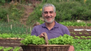 Older man showing basket organic lettuces standing at community organic farm