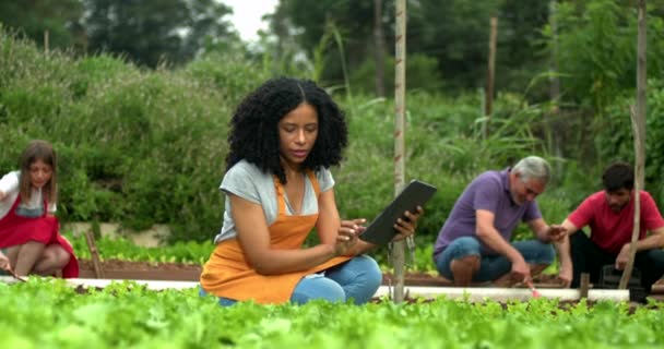 城市社区农场的一群人在小有机企业工作 一个拿着石碑的黑人女人 — 图库视频影像
