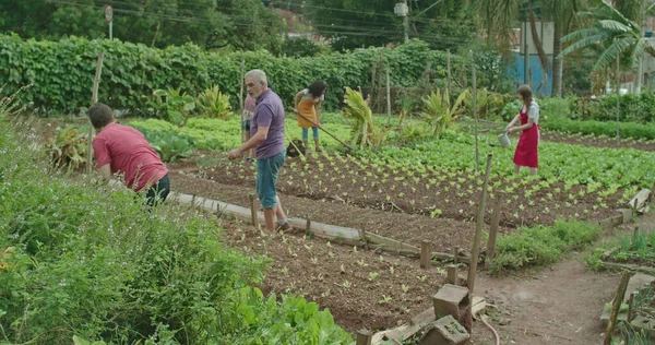 Group Community Farmers Cultivating Food Urban Small Agriculture Plantation People — Stok Foto
