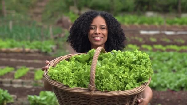 Одна Чорна Жінка Показує Органічні Овочі Сільському Саду Маленької Ферми — стокове відео