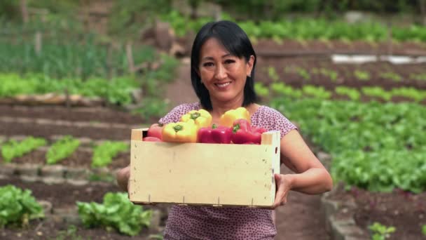 Frau Mit Gemüsekorb Lächelt Die Kamera Eine Asiatin Zeigt Paprika — Stockvideo