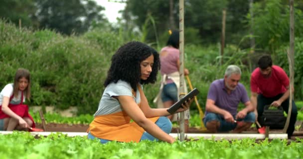 People Working Community Farm Growing Organic Vegetables Woman Using Tablet — 图库视频影像