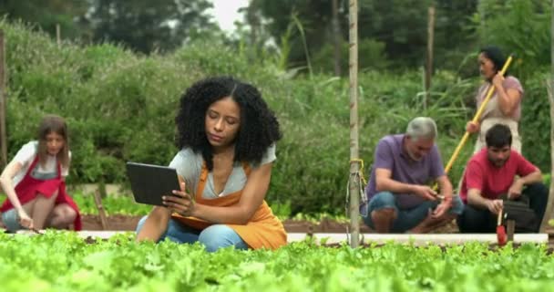 在小农场种植社区农业的人 在城市社区农场使用平板技术的人 — 图库视频影像