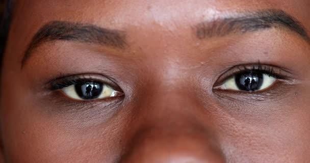 African Woman Eyes Macro Close Black Girl 20S Smiling Staring — Video