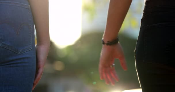 Joining Hands Together Uniting Chain Hands Held Together Sunlight — Stock video